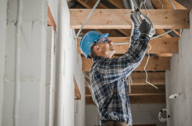 Best Electrical Troubleshooting Services  in Lecanto, FL